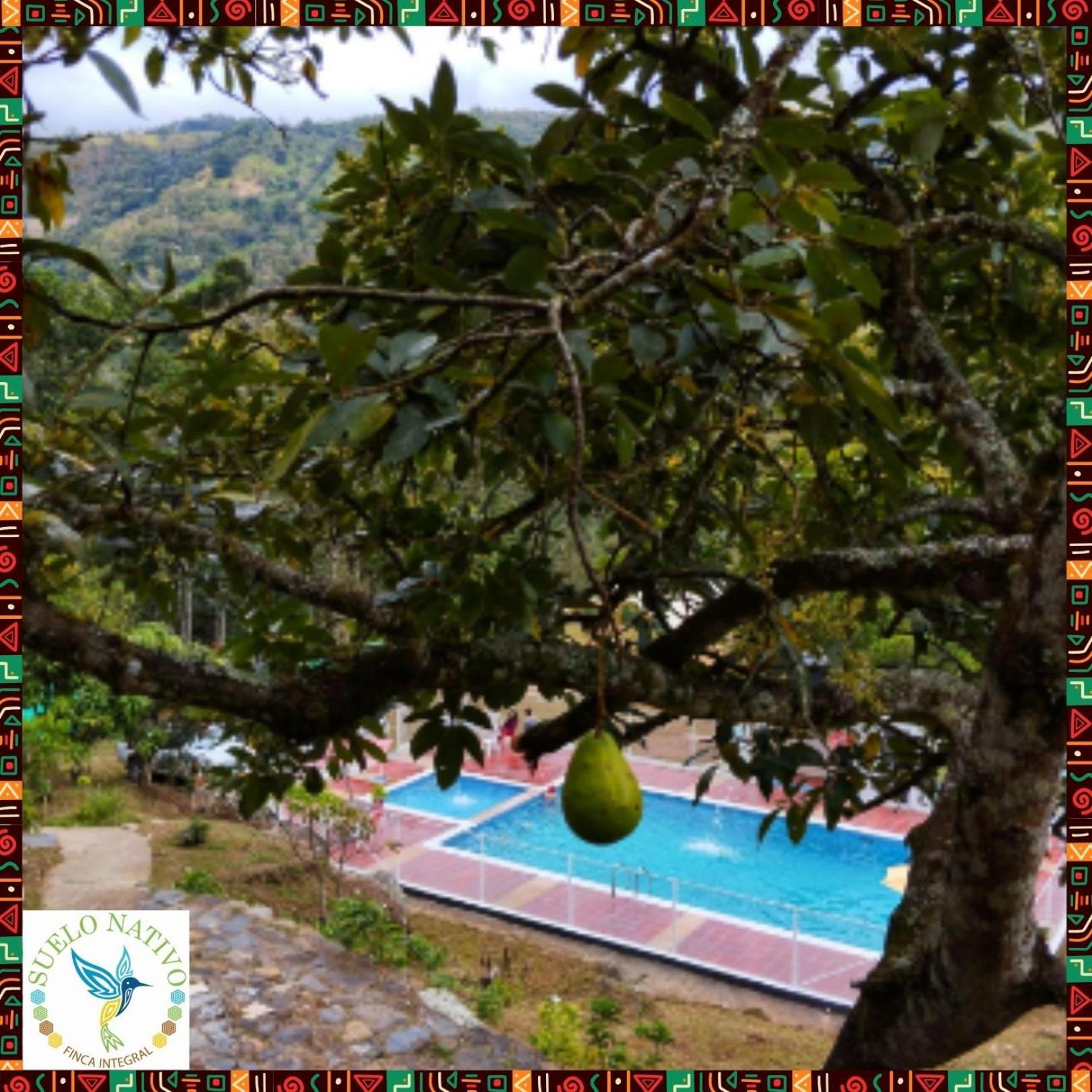 Hotel Finca Integral Suelo Natiivo "Integramos El Campo Con Tu Bienestar" Guaduas Exteriör bild