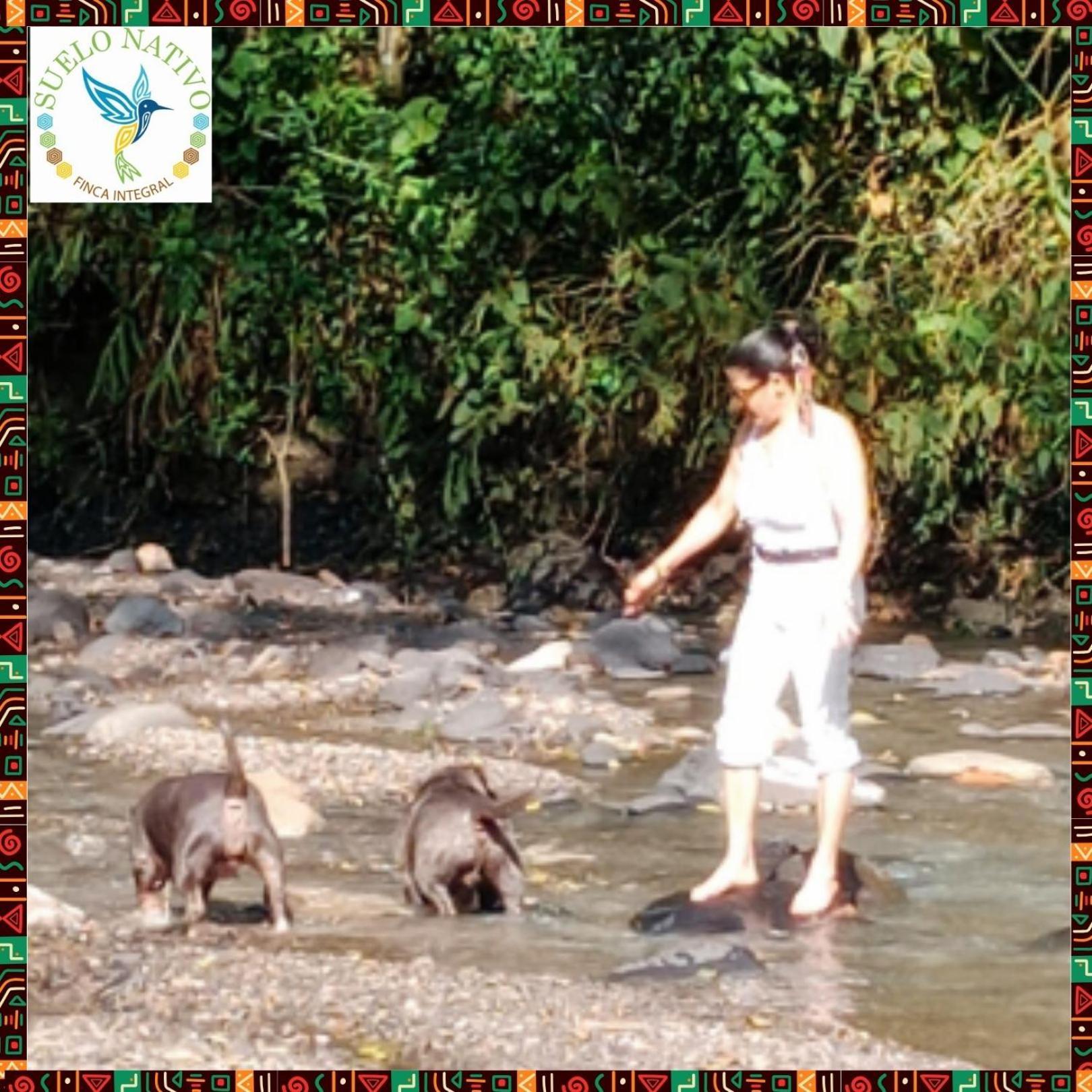 Hotel Finca Integral Suelo Natiivo "Integramos El Campo Con Tu Bienestar" Guaduas Exteriör bild